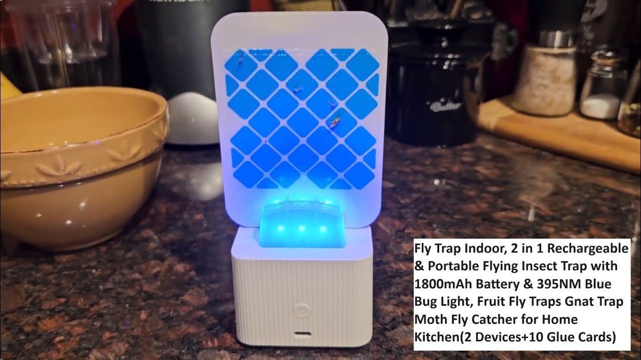 Fly Trap Indoor, 2 in 1 Rechargeable & Portable Flying Insect Trap with 1800mAh Battery Bug Light