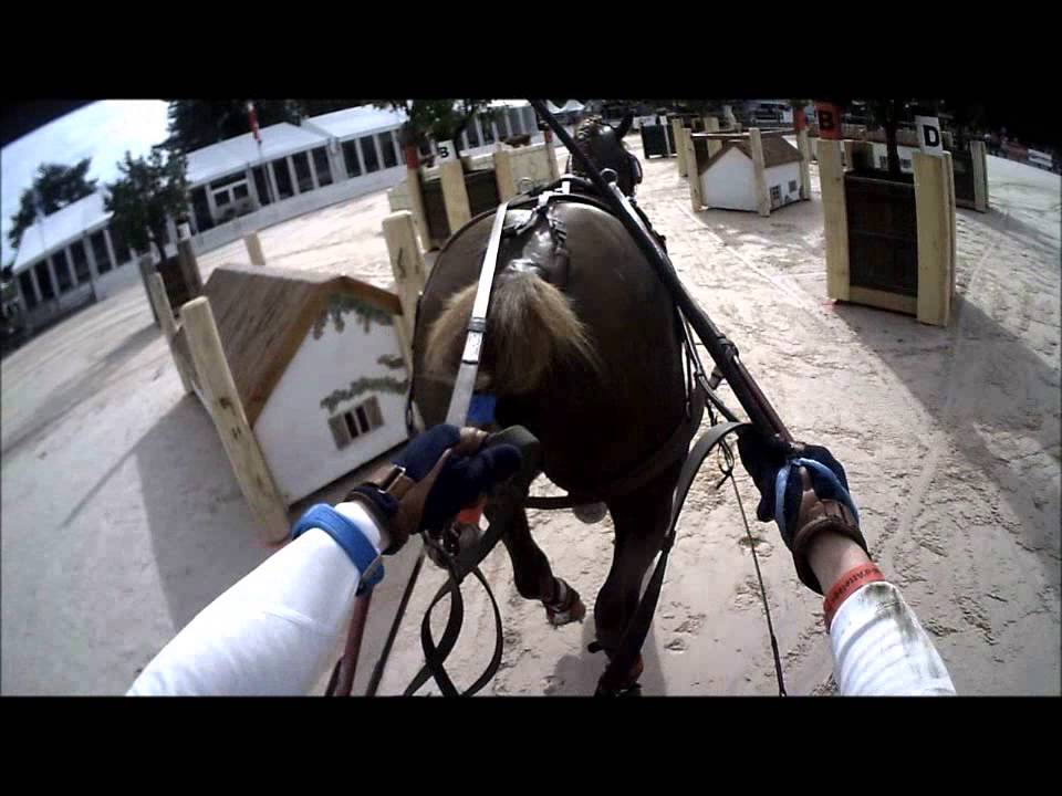 Equitation Attelage : Marathon du Championnat du Monde Claire LEFORT et Oulala d'Ecarnoy