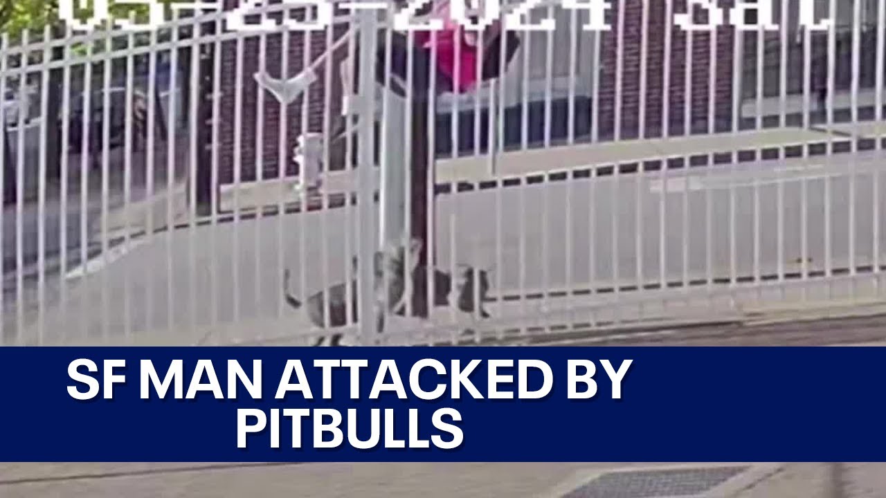Pitbulls attack San Francisco man who scales fence to survive | KTVU
