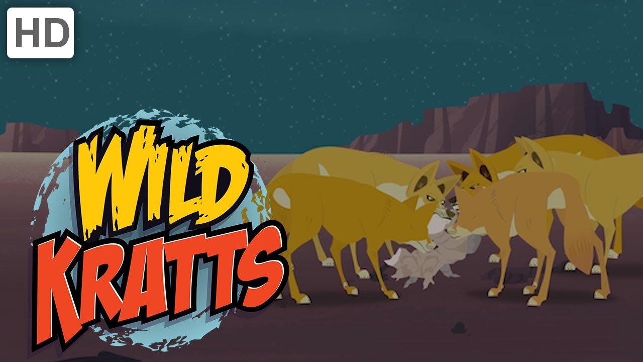 Wild Kratts - Creatures of the Night