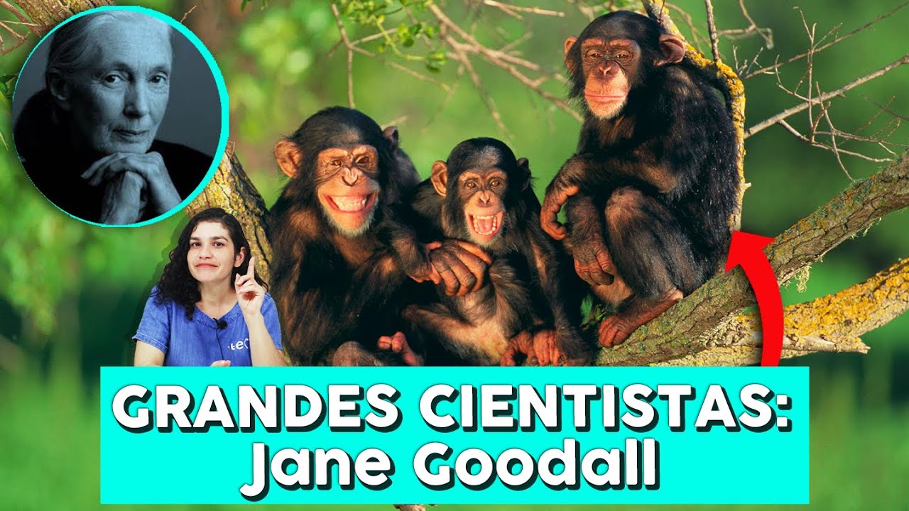 Grandes Cientistas: Jane Goodall