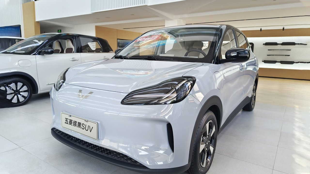 2024 New Wuling Bingo SUV / Wuling Bingo PLUS 5-Seater Version EV Car - Big Bear Test Car