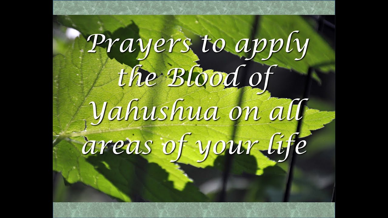 Apply the Blood of Yeshua to Heal All Areas of your Life