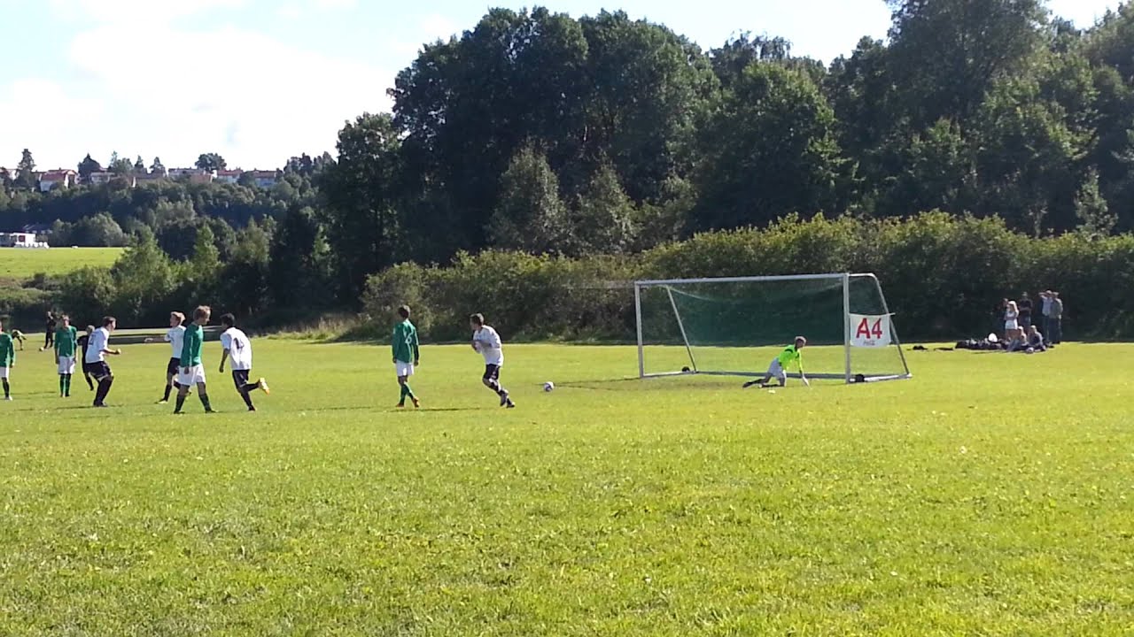 Martin Alnes straffe