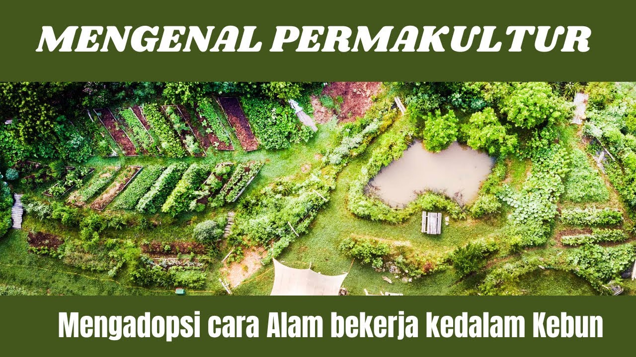 Mengenal Permakultur: Bertani dengan memahami cara alam bekerja menyuburkan tanah dan tanaman