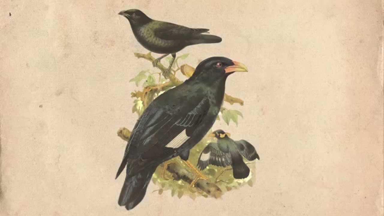 Abiku - Sommergibile