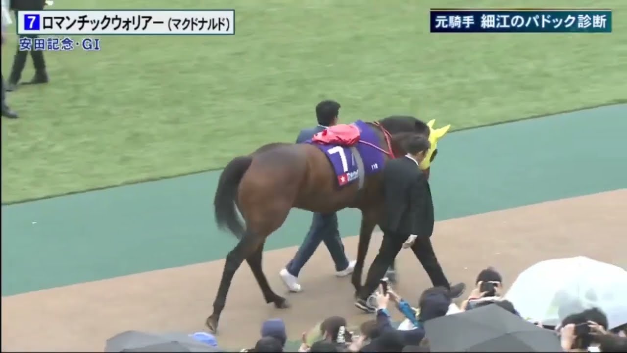 ロマンチックウォリアー 浪漫勇士 安田記念 @2024/06/02 日文解說