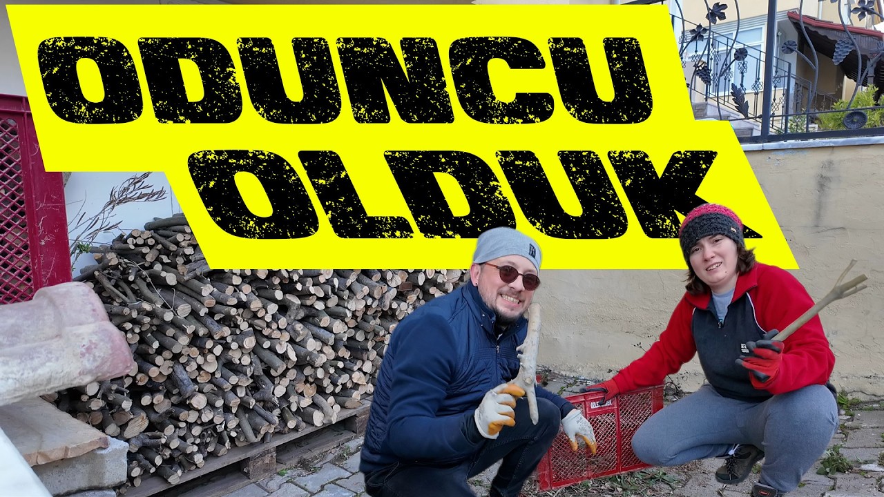 My pogruzilis' v lesnuyu goru! | Podgotovka k zime prodolzhayetsya polnym khodom