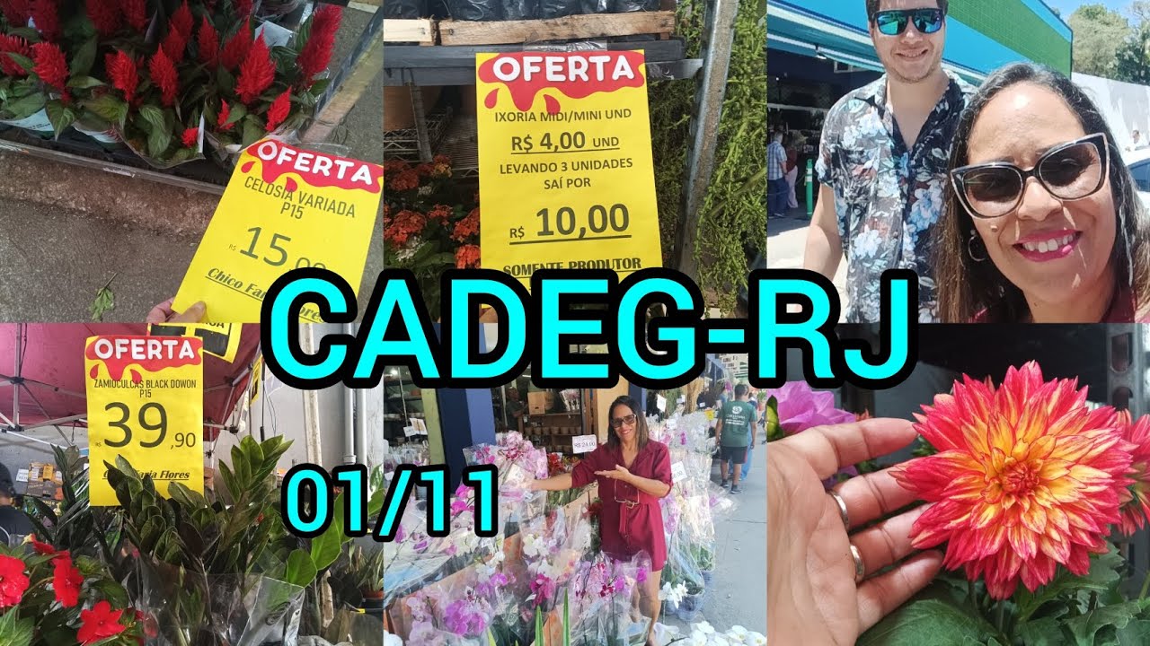 PIREI COM TANTAS PROMOÇÕES..!😯