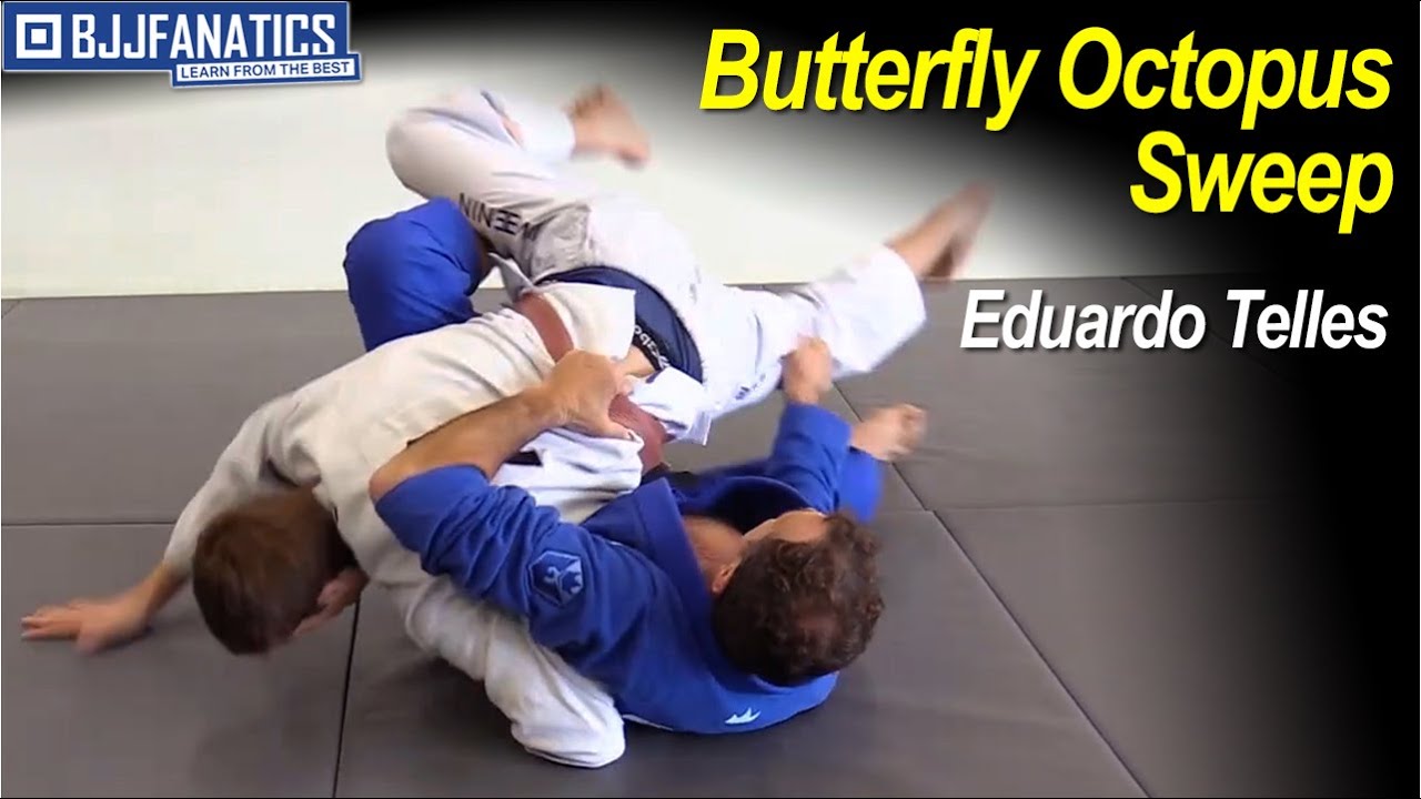 Butterfly Octopus Sweep by Eduardo Telles