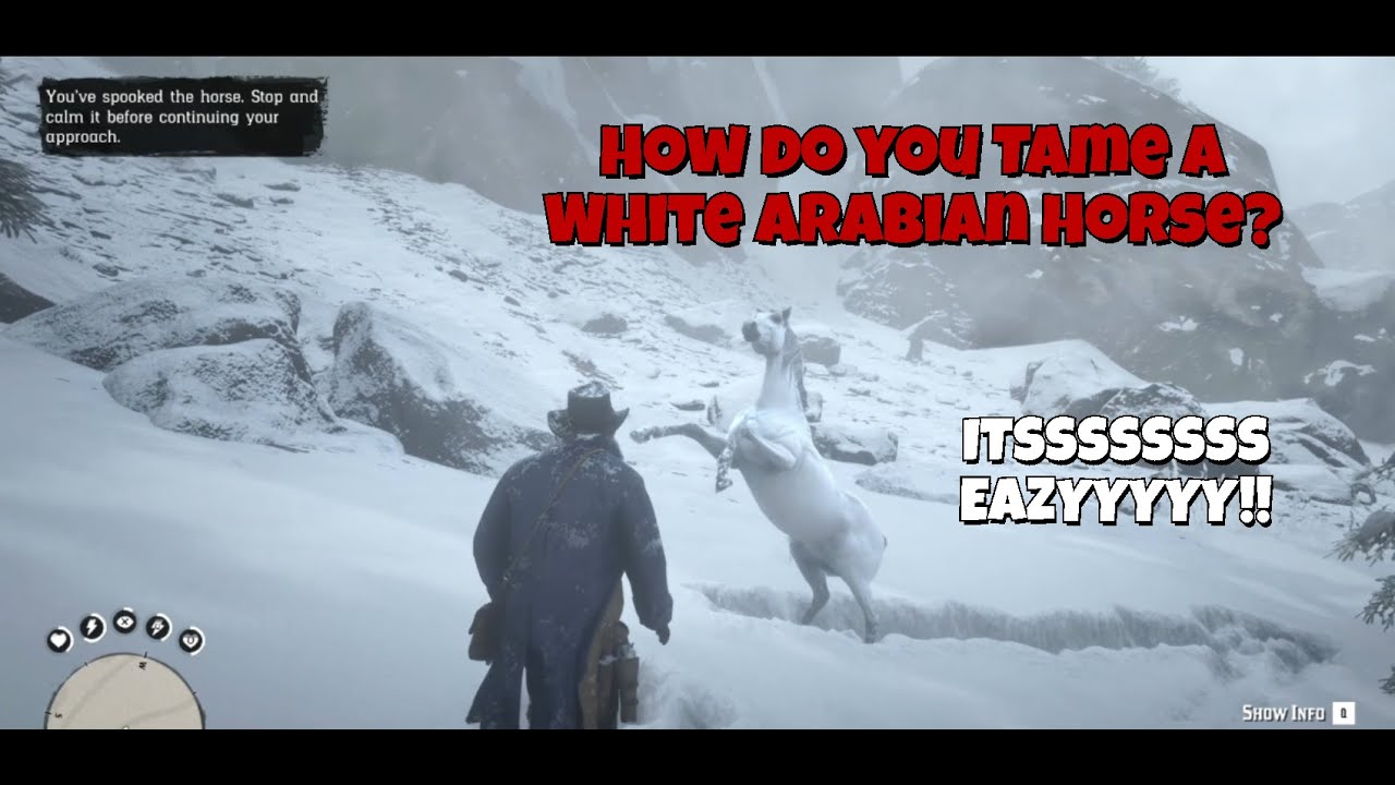 Taming a White Arabian Horse in Red Dead Redemption 2 | 1080P GAMING | Low End Device | NO VOICE |