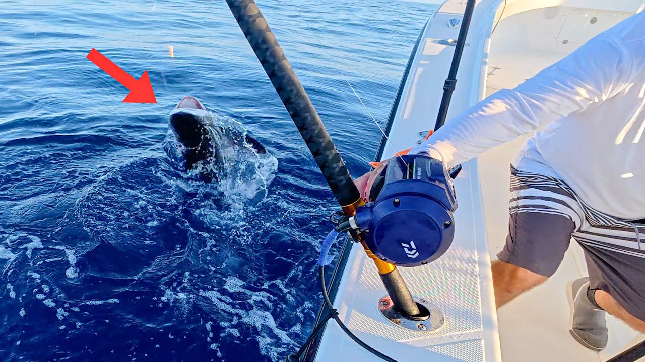 Reel overheats catching these 30+ miles offshore!