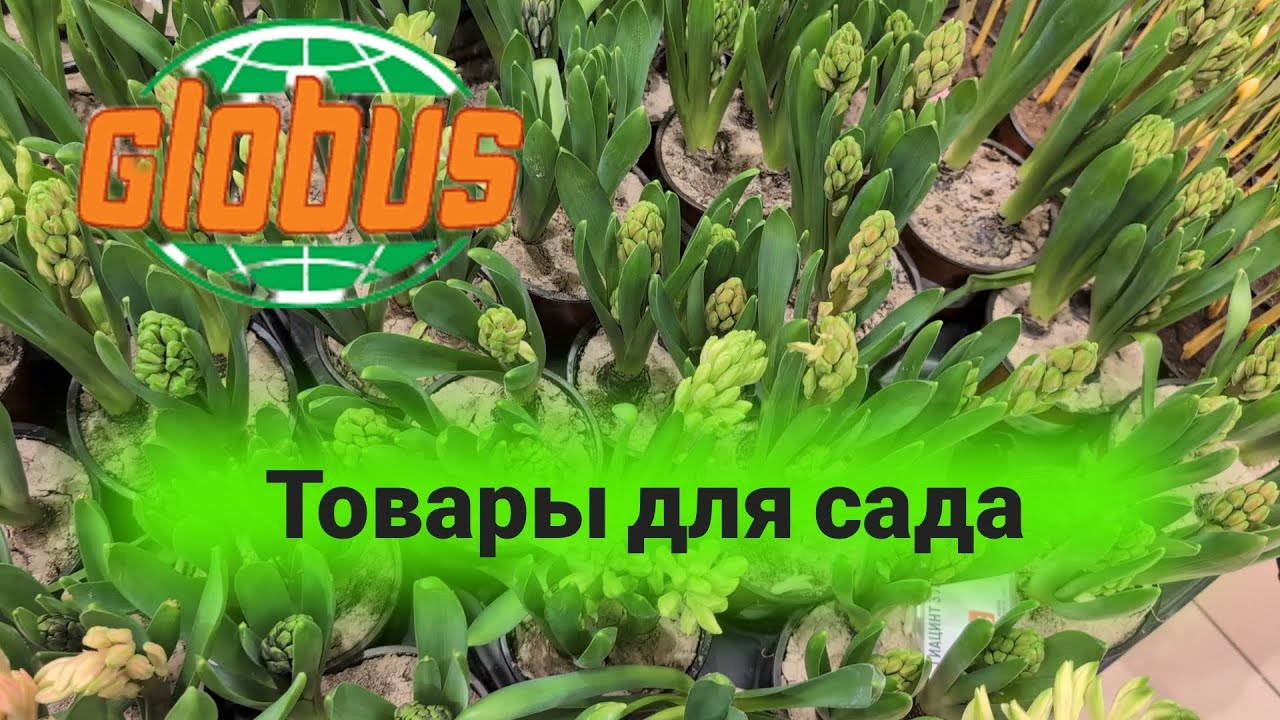 Обзор товаров для сада/Москва/Медведково 