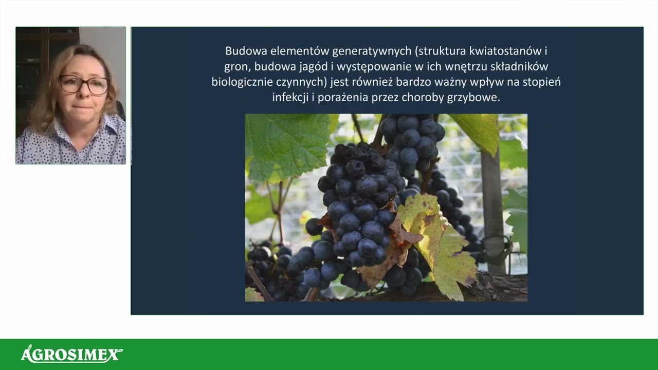 Najważniejsze choroby i szkodniki winorośli - Webinarium Winnice | Agrosimex