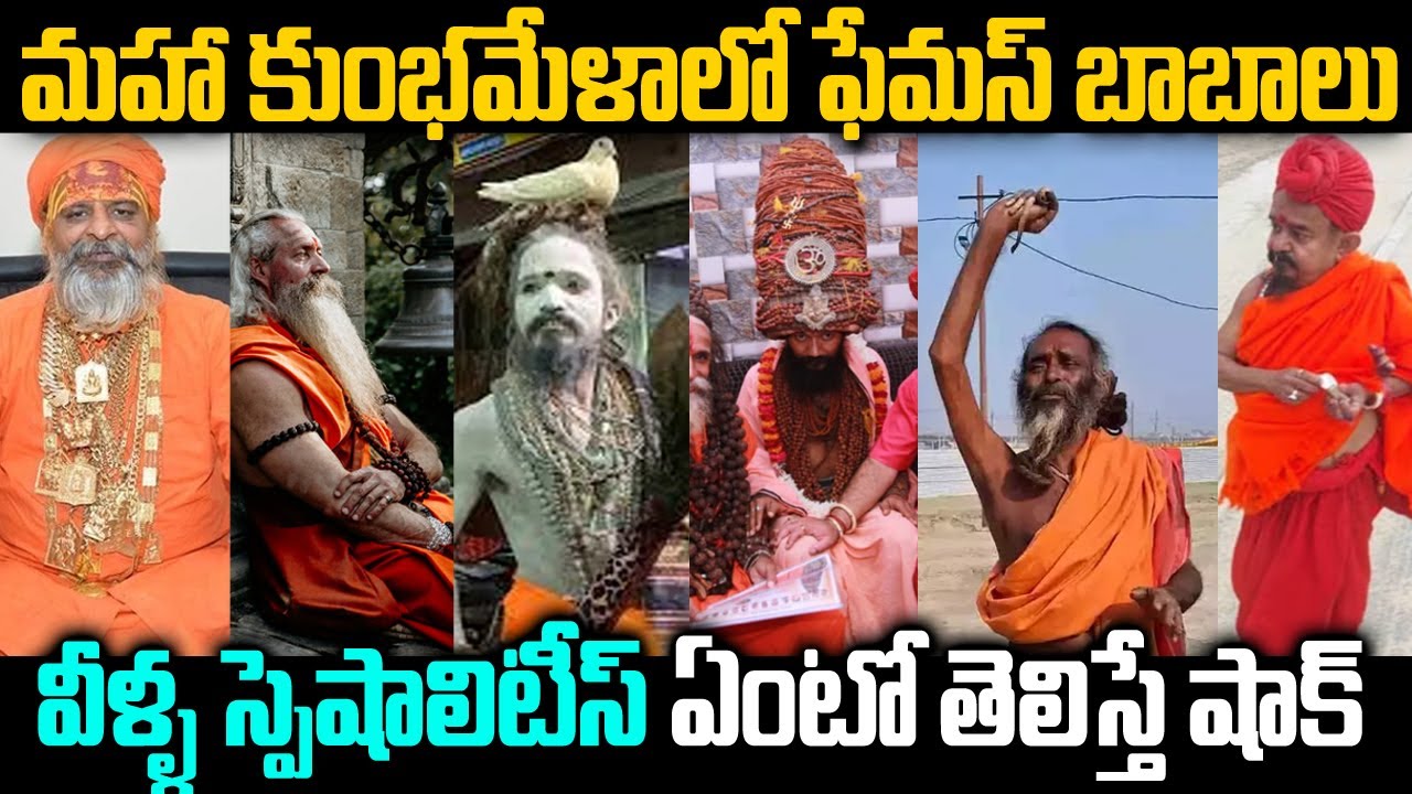 కుంభమేళా ఫేమస్ బాబాలు.. వీళ్ళ స్పెషలిటీస్ తెలిస్తే షాక్ | MahaKumbh 2025 Viral Baba's  Specialties