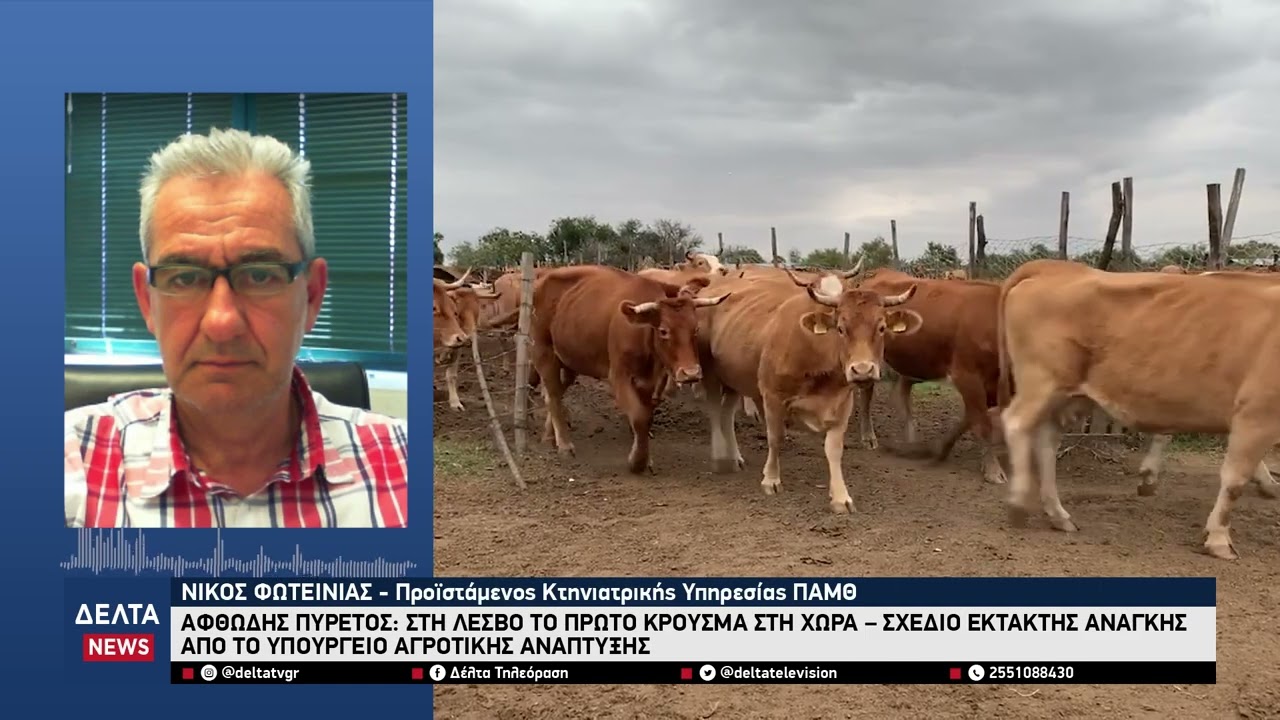 Στη Λέσβο το πρώτο κρούσμα αφθώδη πυρετόυ στη χώρα – Σχέδιο έκτακτης ανάγκης από το Υπουργείο