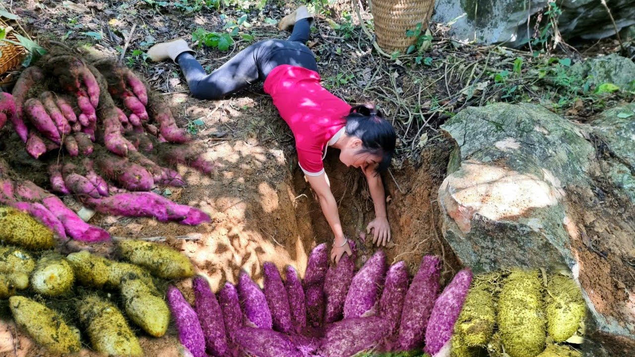 How did the girl dig up the giant potato 3 meters deep underground?