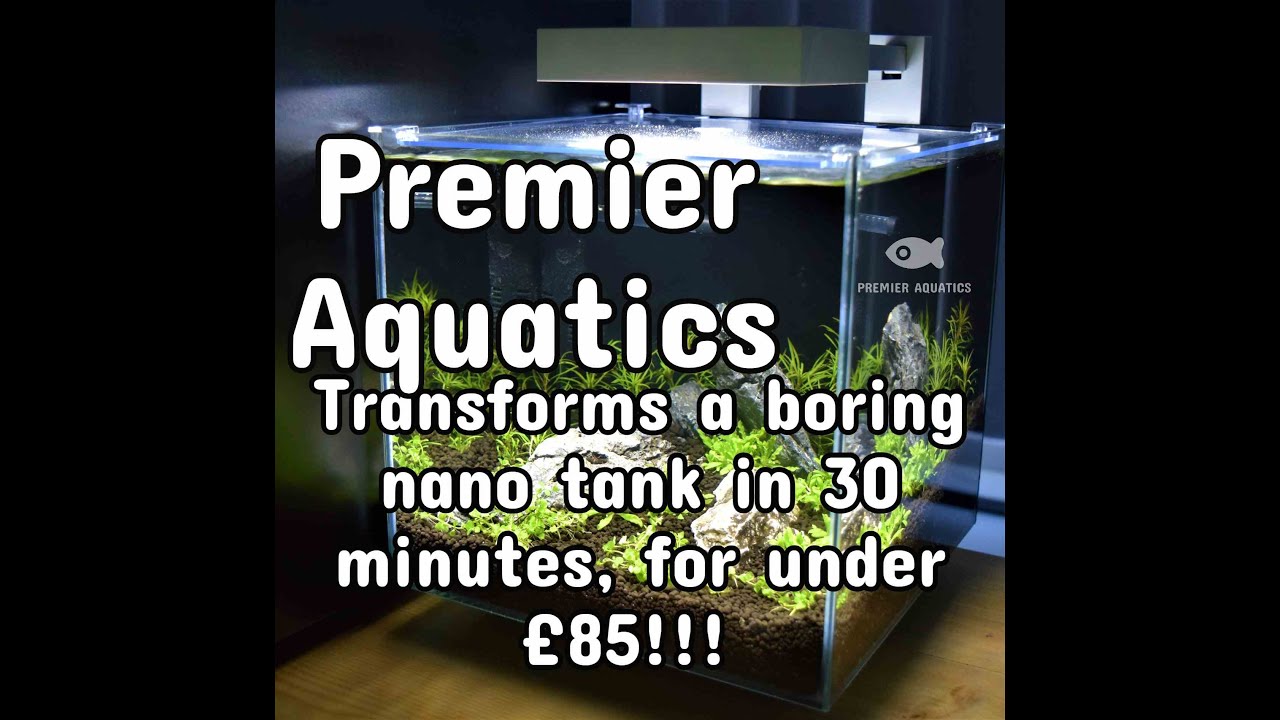 Aquascaping a 14L nano aquarium.