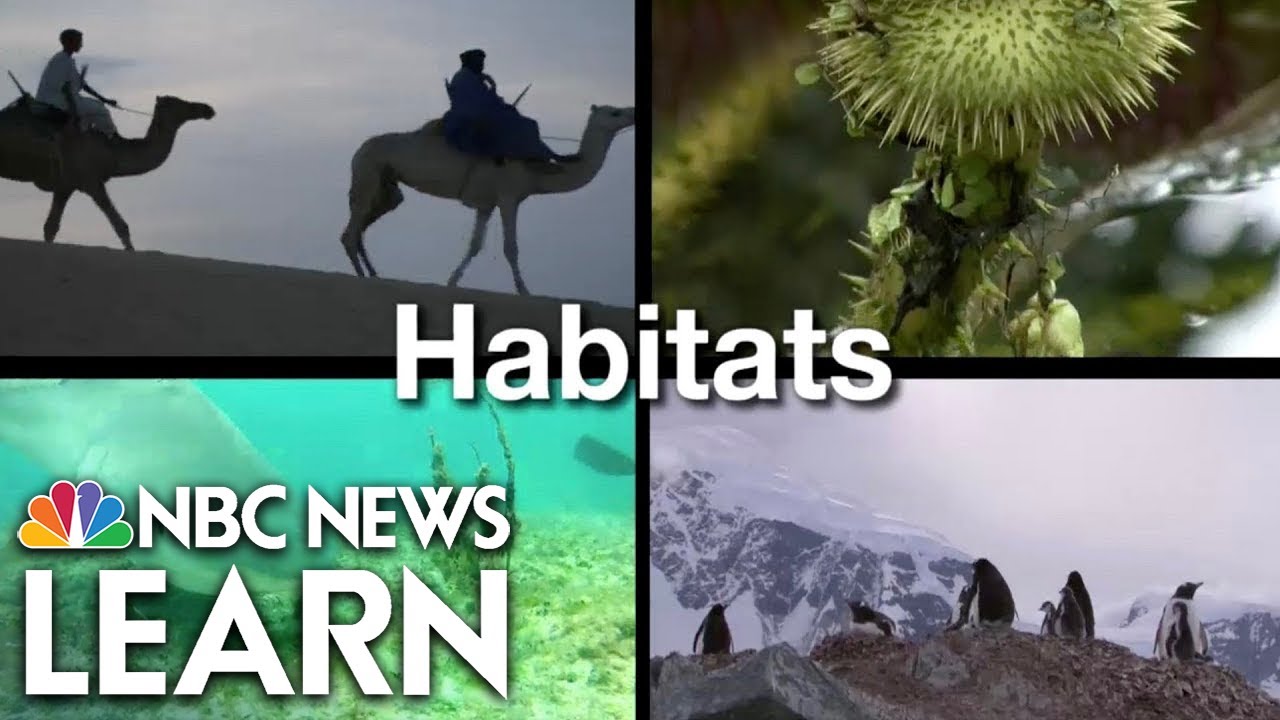 Exploring Habitats