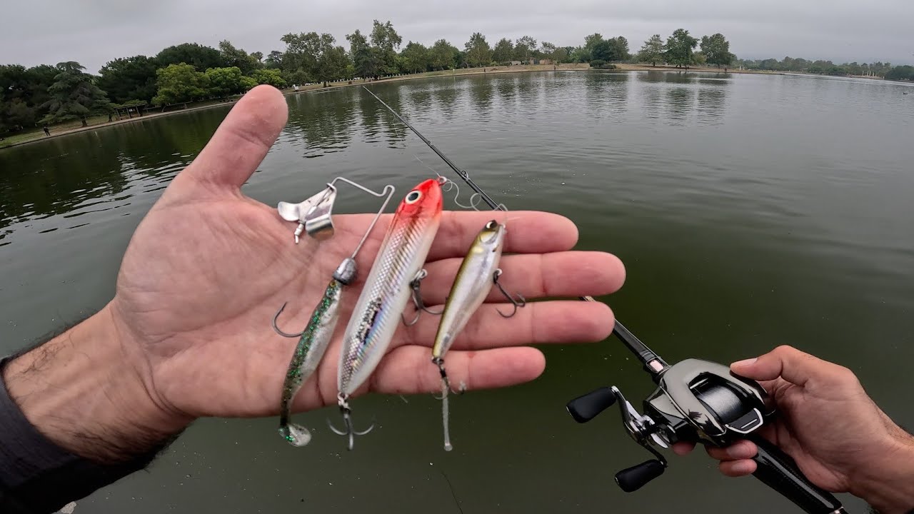 Fishing Small Topwater Lures for BIG City Bass in Los Angeles