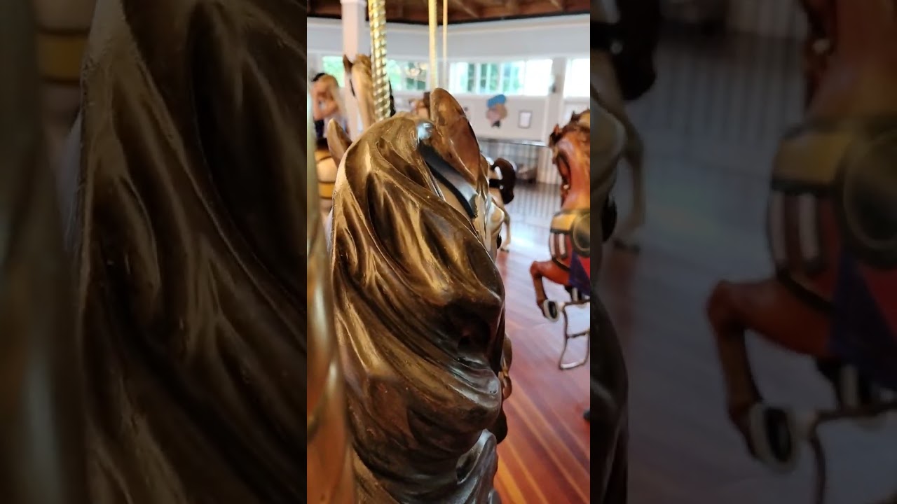 Seabreeze carousel POV