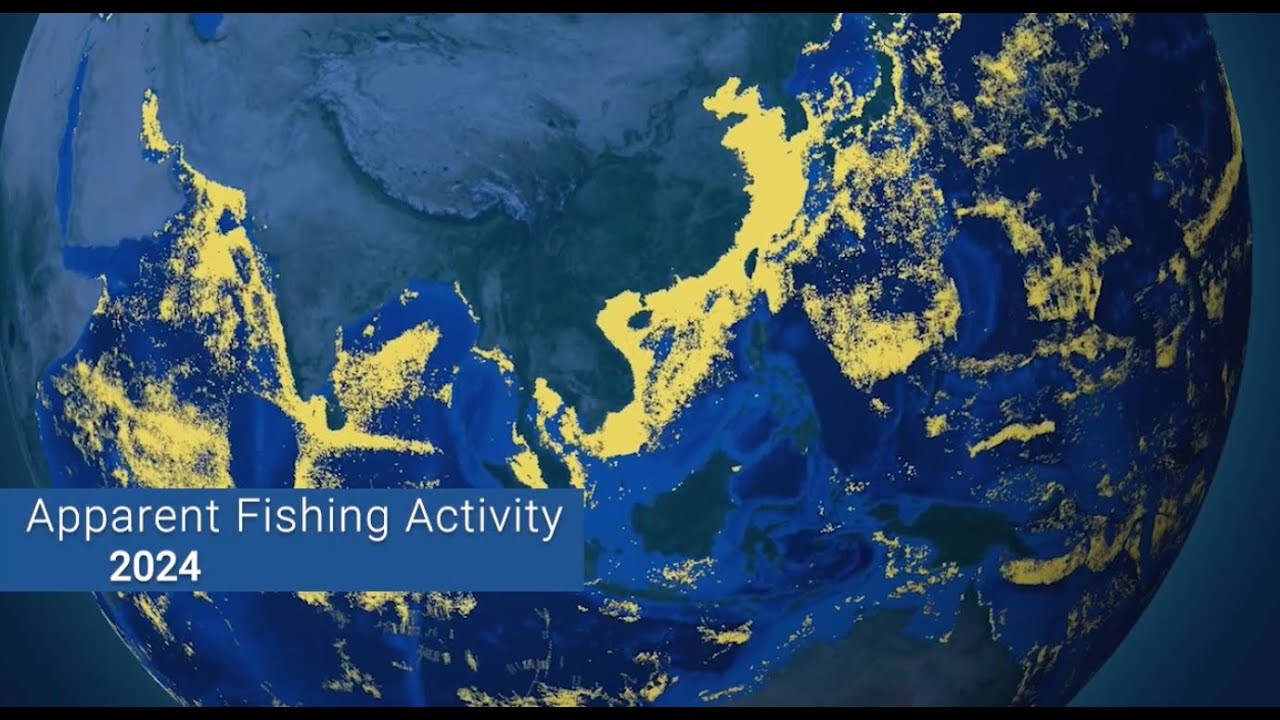 Rise in public vessel tracking supports science, management and policy