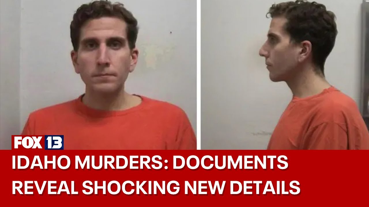 Idaho murders: Roommate saw masked man; cops used DNA, cell phone records to crack case