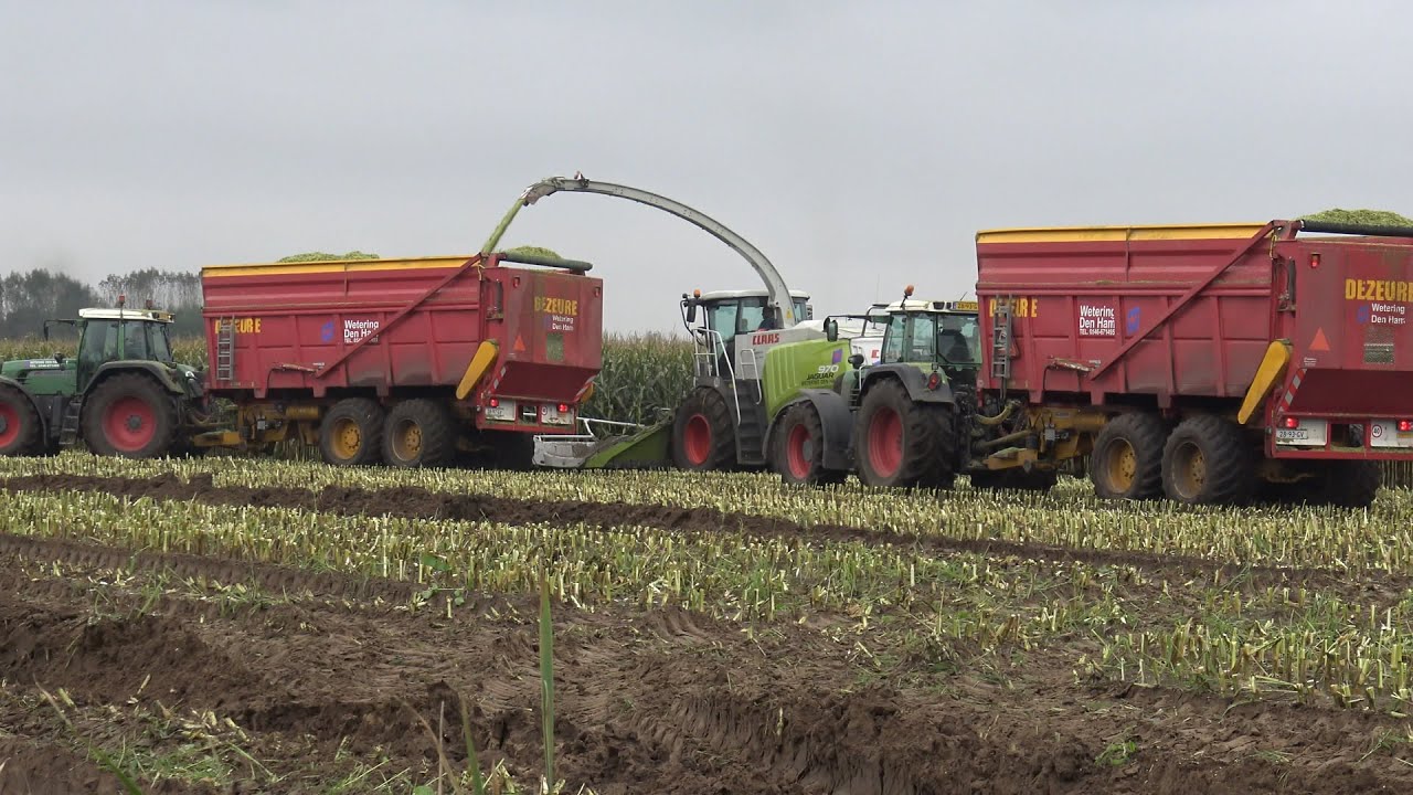 Mais hakselen & Inkuilen met Loonbedrijf Wetering Den Ham (part 1/2)