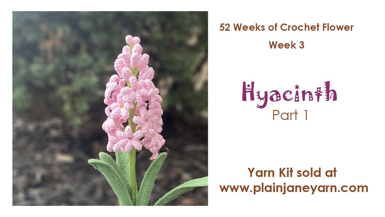Hyacinth Part 1