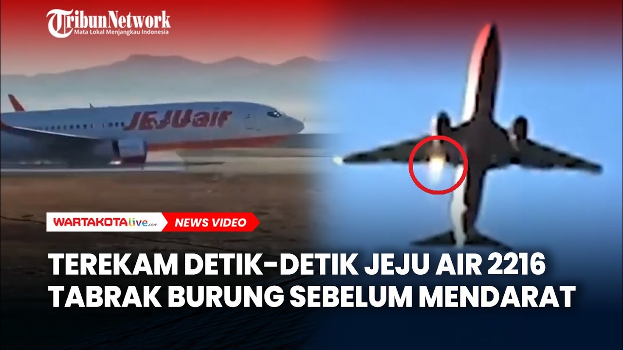 Terekam Detik-detik Jeju Air 2216 Tabrak Burung Sebelum Gagal Mendarat