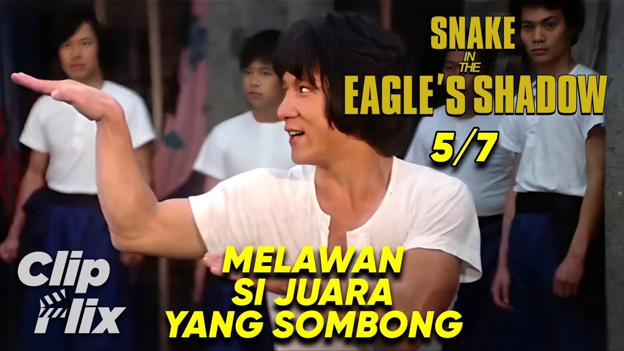 Snake In The Eagle's Shadow (5/7) | Melawan Si Juara Yang Sombong | Jackie Chan | ClipFlix