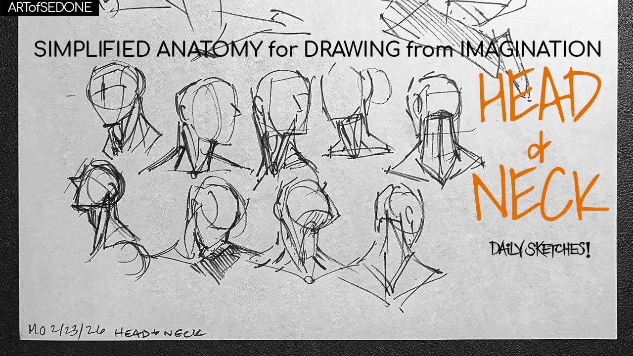 Simplified Anatomy For Drawing From Imagination The Head And Neck