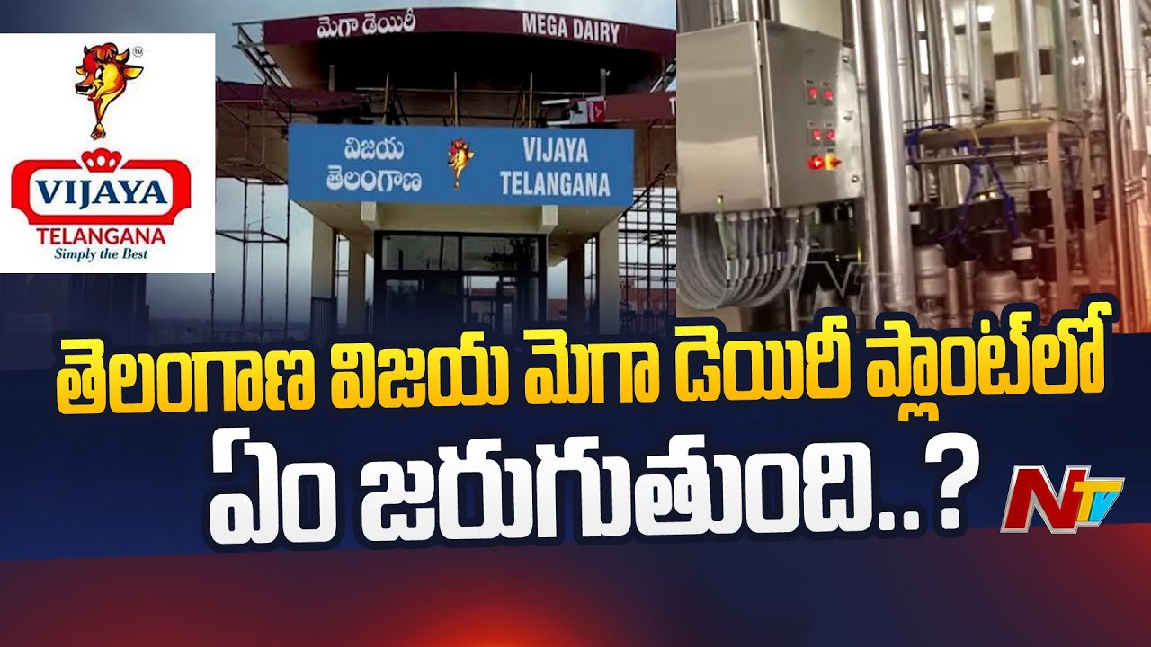 Explained: Vijaya Telangana Mega Dairy Plant Working Process | Ntv