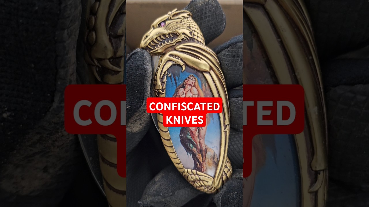 I Bought 23 Pounds Of TSA Confiscated Knives