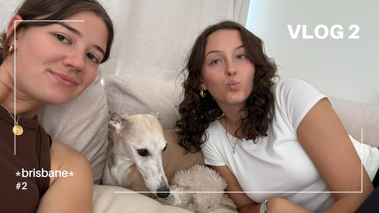 on adopte (presque) un chien !