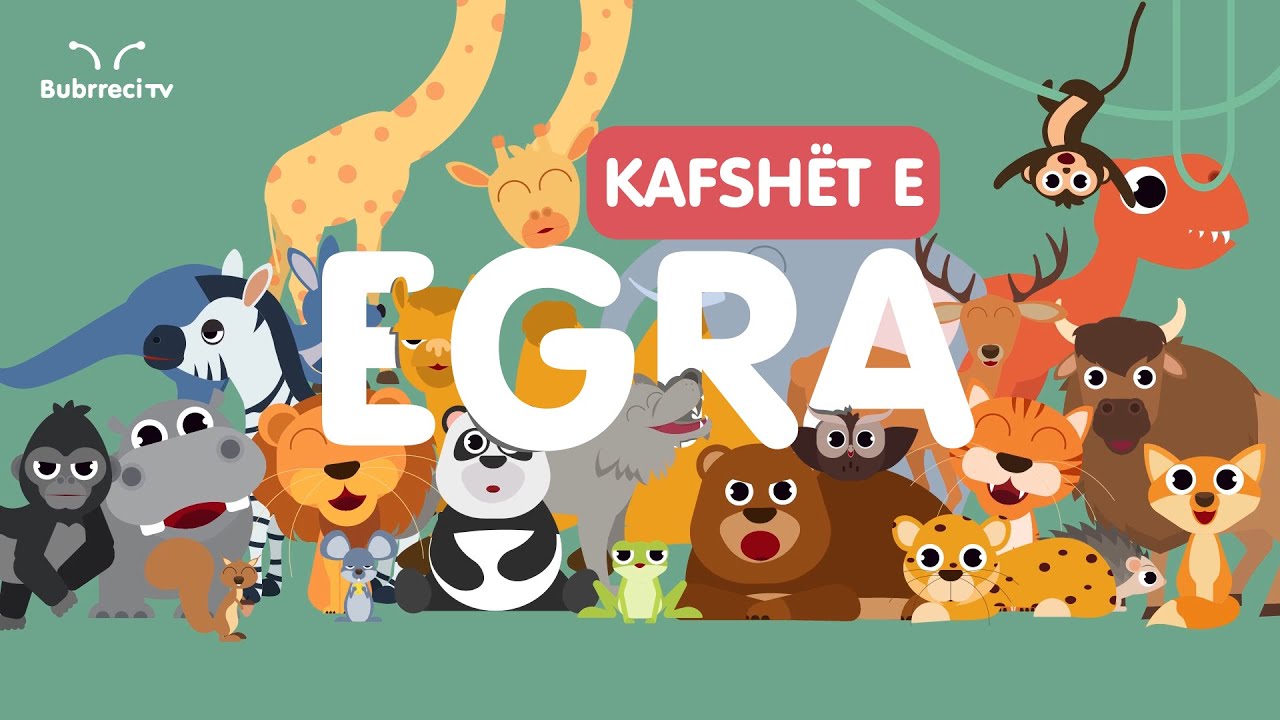 Kafsh&euml;t e Egra p&euml;r F&euml;mij&euml; Parashkollor&euml;🦁 Bubrreci TV - K&euml;ng&euml; p&euml;r F&euml;mij&euml;