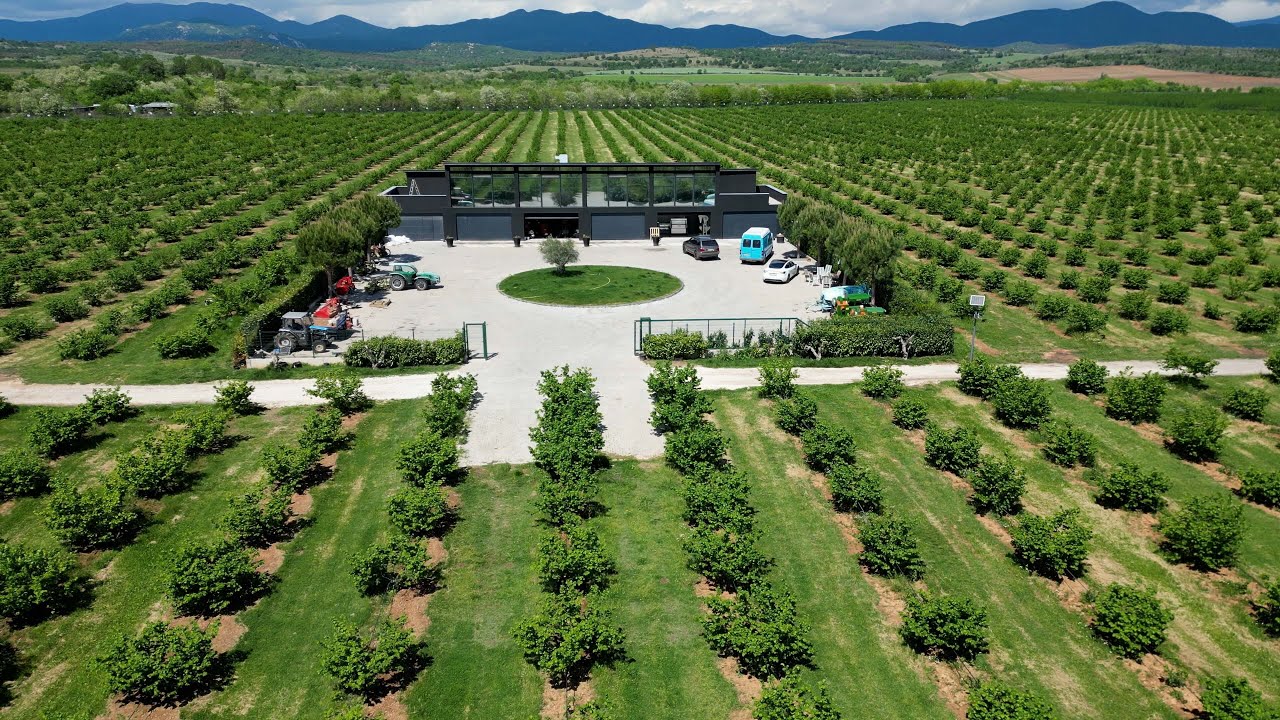About us - The Hazelnut Farm
