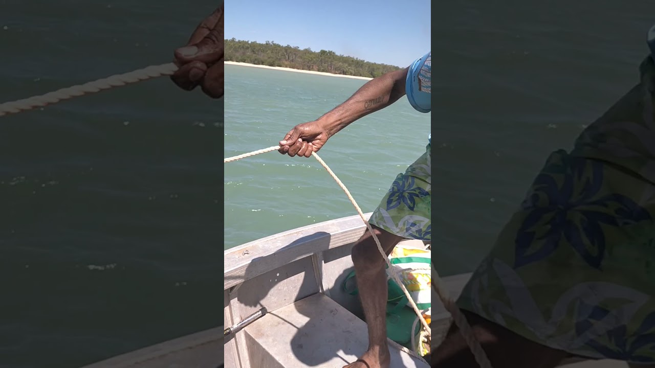 Aurukun turtle hunting 🐢🐢🐢🐢👍👌✌️