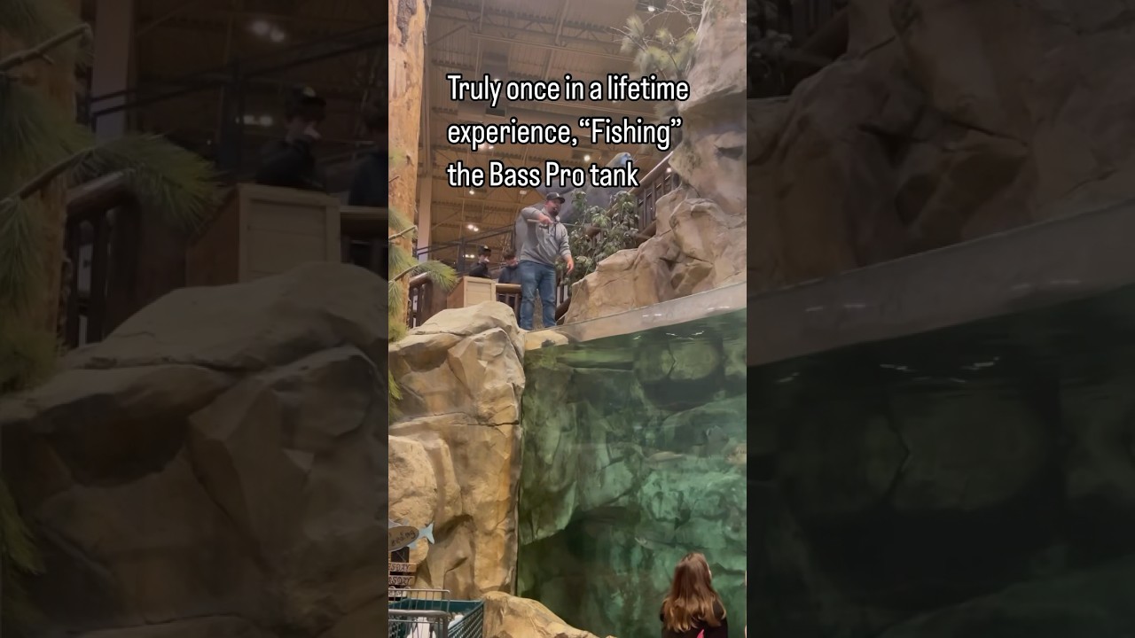 Once in a lifetime experience - &ldquo;Fishing&rdquo; the tank at Bass Pro Shops #fishing #shorts
