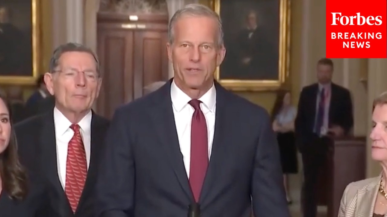 'Shamefully, The Democrats Have Put Us Into Another Government Shutdown': Thune Hammers Dems