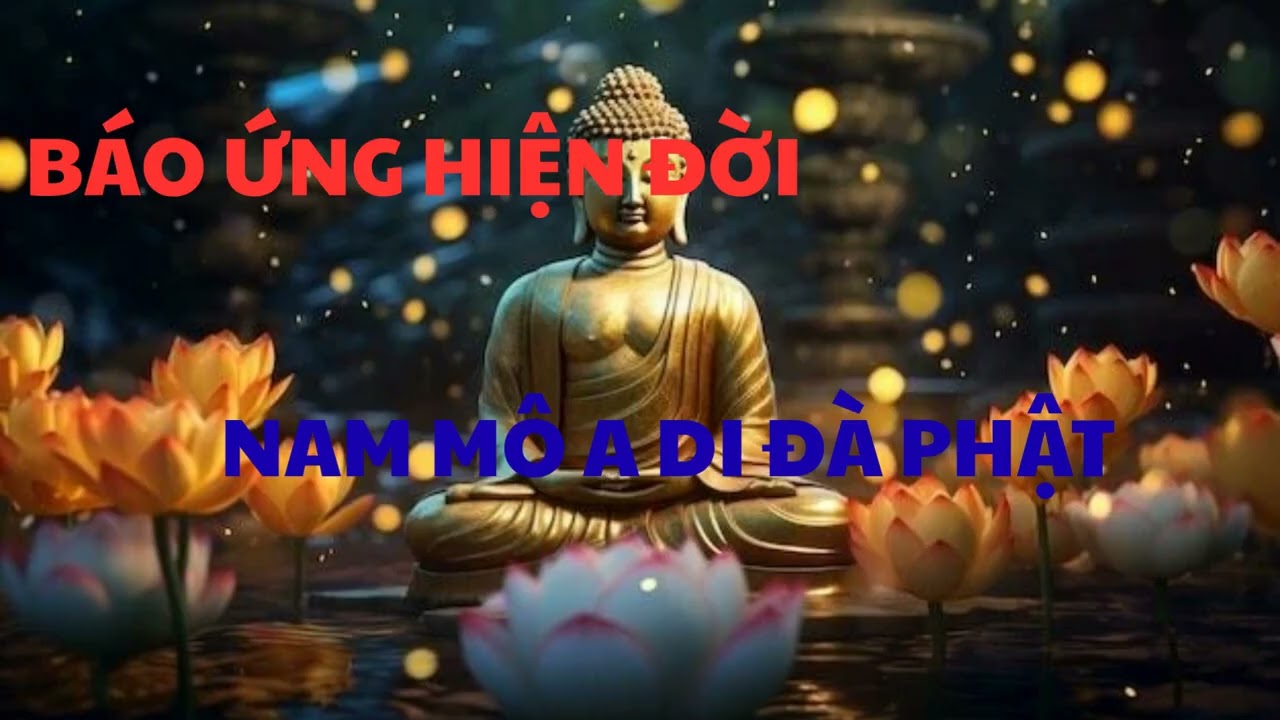 Bạn có biết vì sao có người giàu sang hạnh phúc, có người khổ đau liên miên? #phatdaymoingay8686 