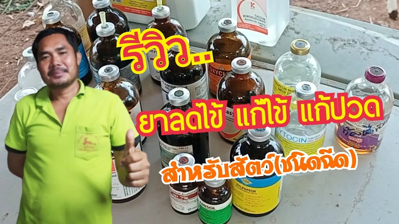 รีวิว..ยาลดไข้ แก้ไข้ แก้ปวด | ชนิดฉีดสำหรับสัตว์ by ชีลองฟาร์ม