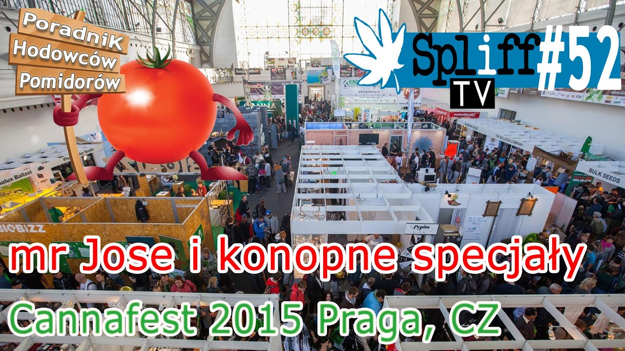 Cannafest 2015 - Nowosci na targach konopnych - SPLIFF TV (52)