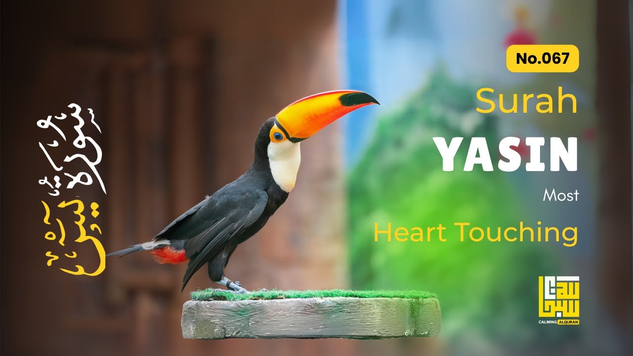 Surah Yasin (Yaseen) سورة يس Full Recitation ✦ Calming Recitation to Relieve Stress ✦ Qur'an Recitat