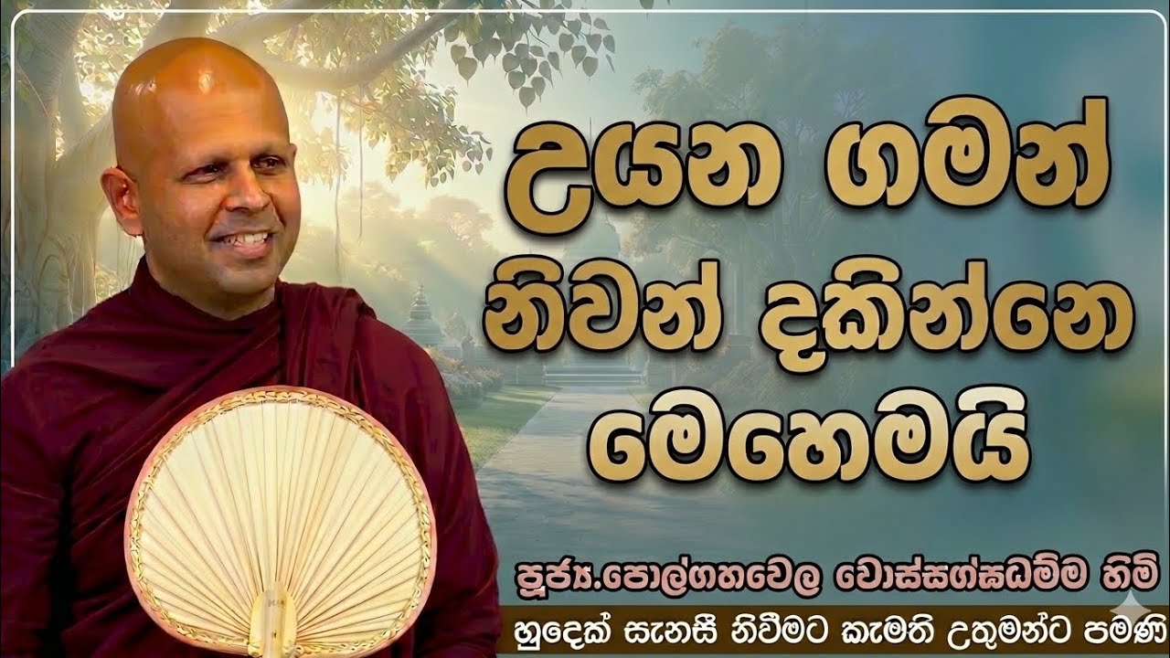 උයන ගමන් නිවන් දකින්නෙ මෙහෙමයි #ven.Polgahawela Wossagghadhamma thero#dharmayai obai #pahura