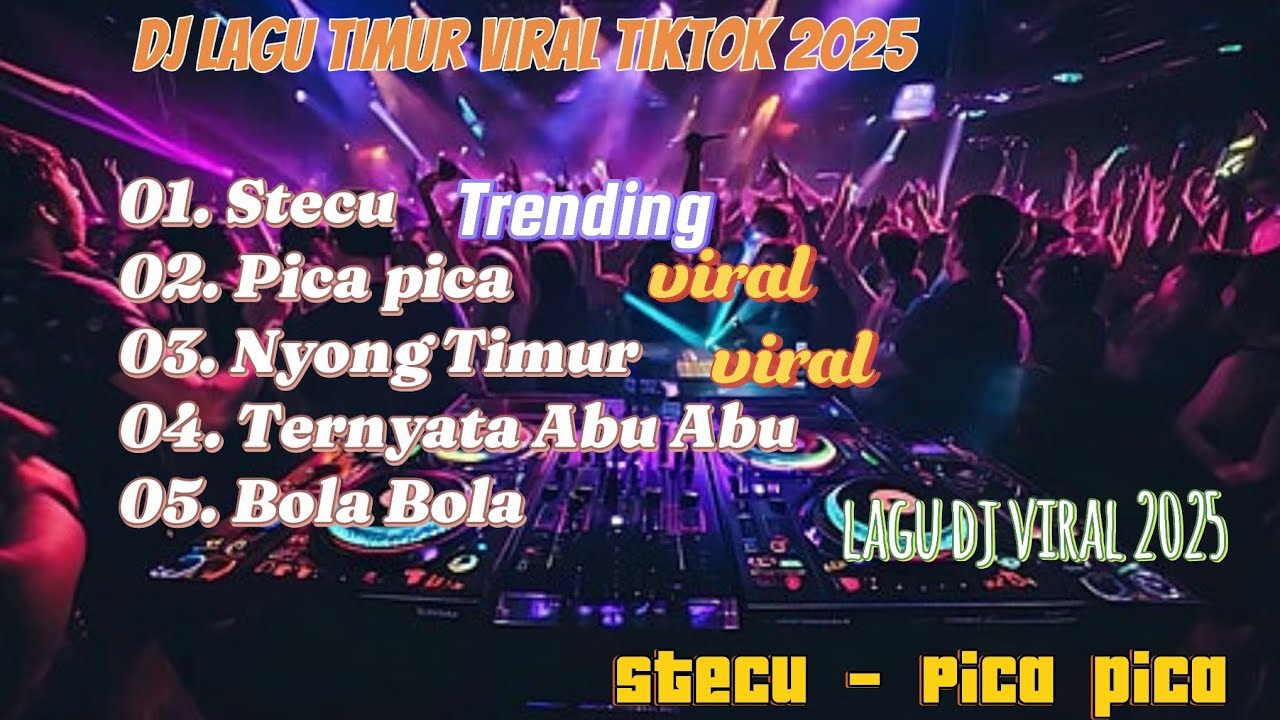 Dj Lagu Viral Terbaru Tiktok 2025 | Stecu stecu - Pica pica #lagudj #laguviral #stecu #stecustecu