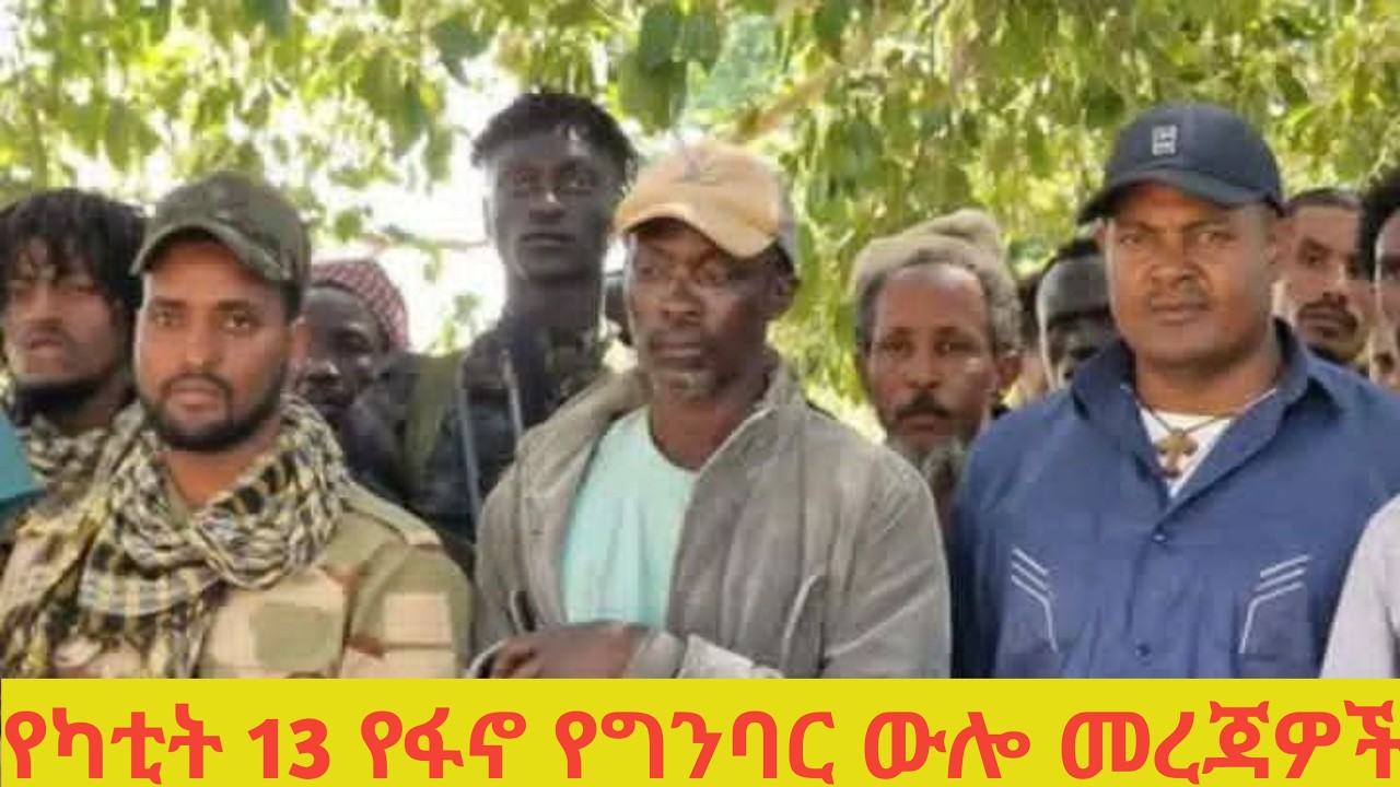 የካቲት 14 የአፋብን የግንባር ውሎ መረጃዎች