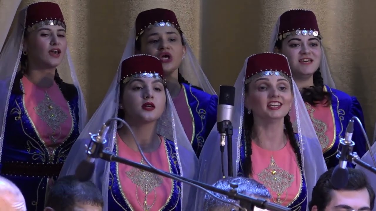 Концерт Ани