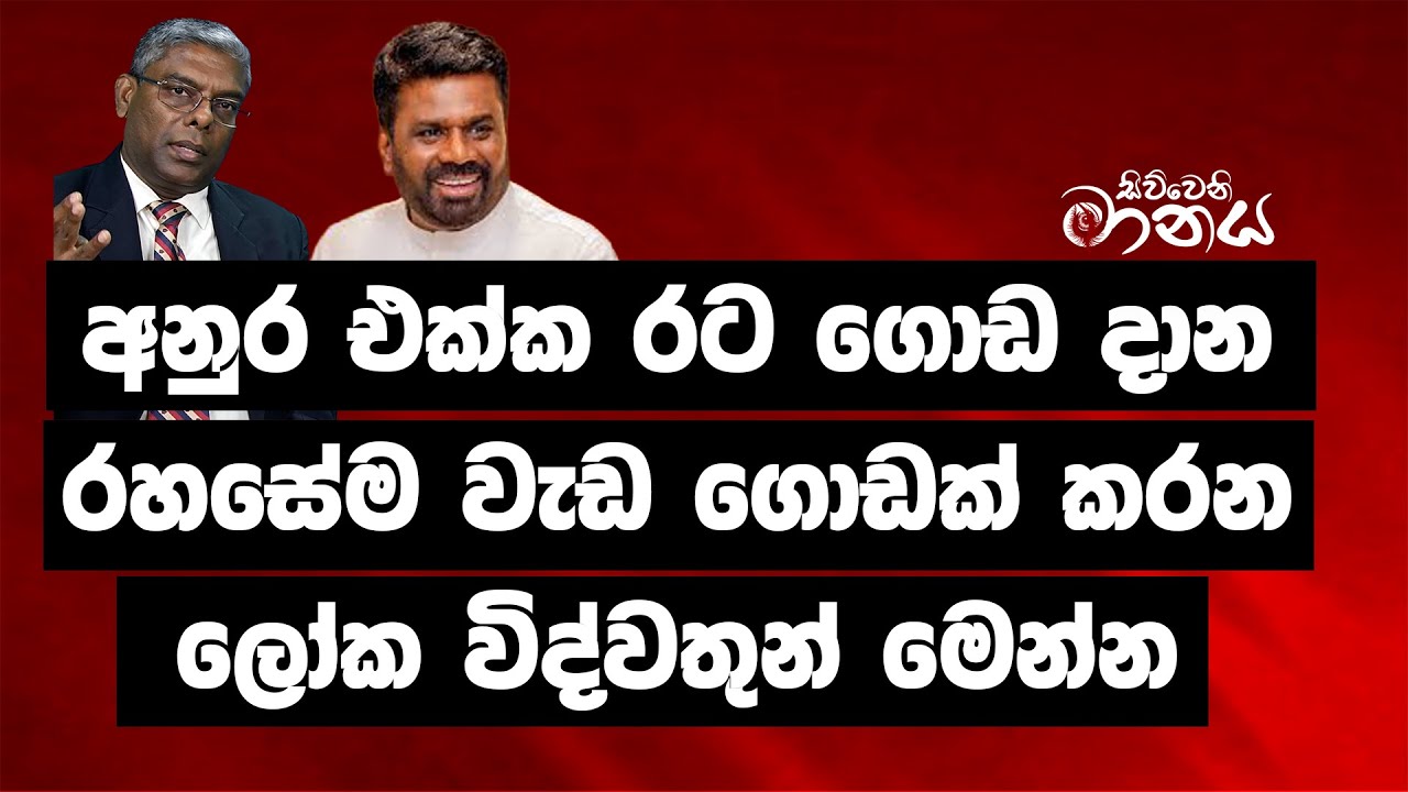 අනුර එක්ක රට ගොඩ දාන්න, රහසේම වැඩ ගොඩක් කරන ලෝක විද්වතුන් මෙන්න