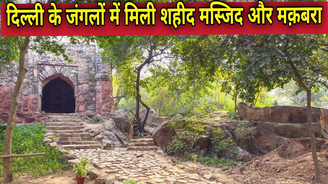 दिल्ली के जंगलों में मिला खण्डहर मक़बरा और शहीद मस्जिद  Masjid |  Maqbara | Tomb